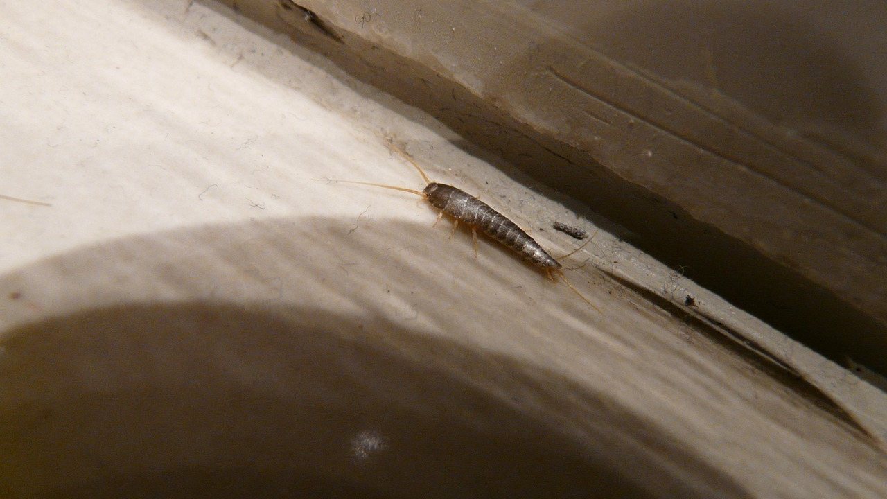 Feuchtes Bad mit Fliesen