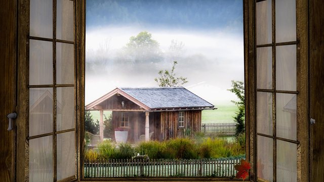 Wanze auf einem Fensterrahmen im Herbst