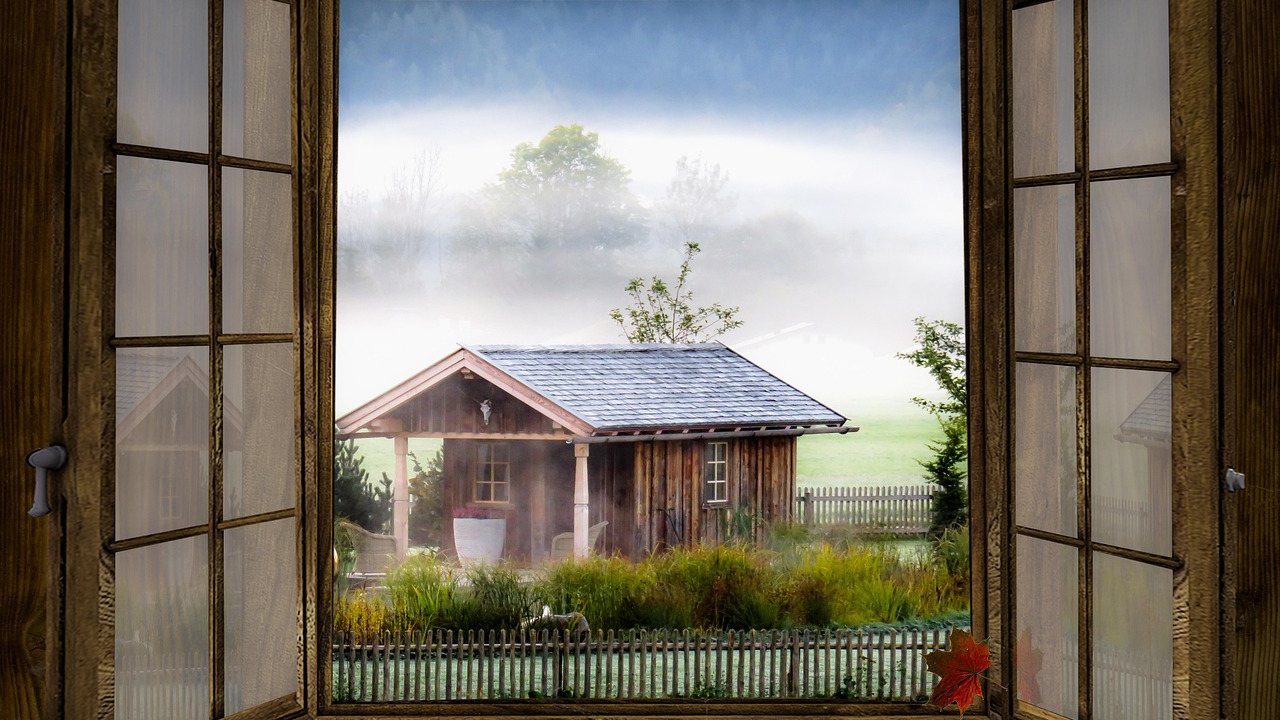 Wanze auf einem Fensterrahmen im Herbst